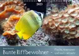 Bunte Riffbewohner - Fische, Anemonen und noch viel mehrCH-Version (Wandkalender 2023 DIN A3 quer)