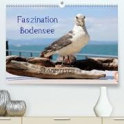Faszination Bodensee (Premium, hochwertiger DIN A2 Wandkalender 2023, Kunstdruck in Hochglanz)