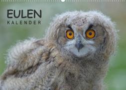 Eulen-Kalender (Wandkalender 2023 DIN A2 quer)