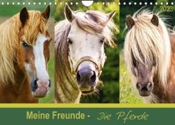 Meine Freunde - die Pferde (Wandkalender 2023 DIN A4 quer)