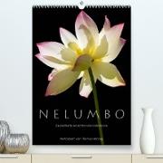 N E L U M B O ¿ Zauberhafte Ansichten der Lotosblüte (Premium, hochwertiger DIN A2 Wandkalender 2023, Kunstdruck in Hochglanz)