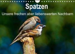 Spatzen, unsere frechen aber liebenswerte Nachbarn (Wandkalender 2023 DIN A4 quer)