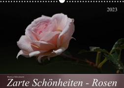 Zarte Schönheiten - Rosen (Wandkalender 2023 DIN A3 quer)