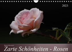 Zarte Schönheiten - Rosen (Wandkalender 2023 DIN A4 quer)