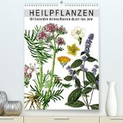 Heilpflanzen (Premium, hochwertiger DIN A2 Wandkalender 2023, Kunstdruck in Hochglanz)