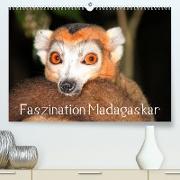 Faszination Madagaskar (Premium, hochwertiger DIN A2 Wandkalender 2023, Kunstdruck in Hochglanz)
