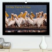 Wilde Tiere Afrikas (Premium, hochwertiger DIN A2 Wandkalender 2023, Kunstdruck in Hochglanz)