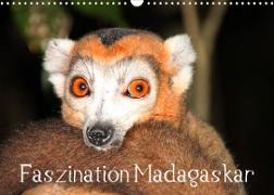 Faszination Madagaskar (Wandkalender 2023 DIN A3 quer)