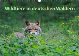 Wildtiere in deutschen Wäldern (Wandkalender 2023 DIN A3 quer)