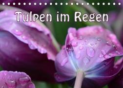 Tulpen im Regen (Tischkalender 2023 DIN A5 quer)