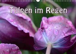 Tulpen im Regen (Wandkalender 2023 DIN A3 quer)