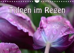 Tulpen im Regen (Wandkalender 2023 DIN A4 quer)
