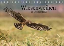 Wiesenweihen in Deutschland (Tischkalender 2023 DIN A5 quer)