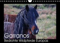 Garranos - Bedrohte Wildpferde Europas (Wandkalender 2023 DIN A4 quer)