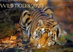 Wild Tigers 2023 (Wall Calendar 2023 DIN A3 Landscape)