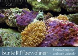 Bunte Riffbewohner - Fische, Anemonen und noch viel mehr (Wandkalender 2023 DIN A3 quer)