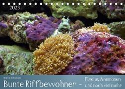 Bunte Riffbewohner - Fische, Anemonen und noch viel mehr (Tischkalender 2023 DIN A5 quer)