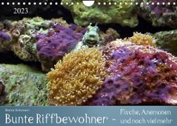 Bunte Riffbewohner - Fische, Anemonen und noch viel mehr (Wandkalender 2023 DIN A4 quer)