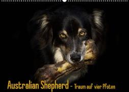 Australian Shepherd - Traum auf vier Pfoten (Wandkalender 2023 DIN A2 quer)