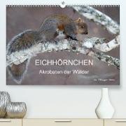 EICHHÖRNCHEN (Premium, hochwertiger DIN A2 Wandkalender 2023, Kunstdruck in Hochglanz)