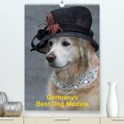 Germanys Best Dog Models - gestylte Labrador und Golden Retriever (Premium, hochwertiger DIN A2 Wandkalender 2023, Kunstdruck in Hochglanz)