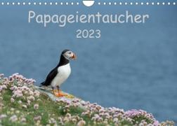 Papageientaucher 2023CH-Version (Wandkalender 2023 DIN A4 quer)