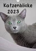 Katzenblicke 2023 (Wandkalender 2023 DIN A4 hoch)