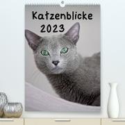 Katzenblicke 2023 (Premium, hochwertiger DIN A2 Wandkalender 2023, Kunstdruck in Hochglanz)