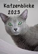 Katzenblicke 2023 (Wandkalender 2023 DIN A2 hoch)