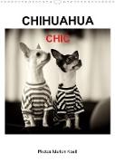 CHIHUAHUA CHIC Photos Marion Koell (Wandkalender 2023 DIN A3 hoch)