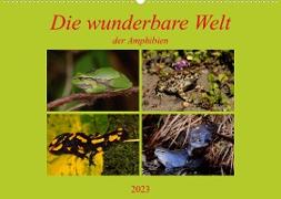 Die wunderbare Welt der Amphibien (Wandkalender 2023 DIN A2 quer)