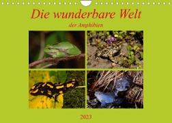 Die wunderbare Welt der Amphibien (Wandkalender 2023 DIN A4 quer)