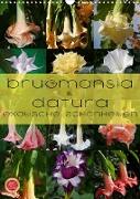Brugmansia & Datura - Exotische Schönheiten (Wandkalender 2023 DIN A3 hoch)