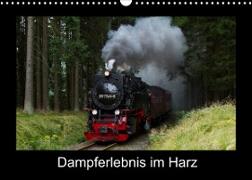Dampferlebnis im Harz (Wandkalender 2023 DIN A3 quer)