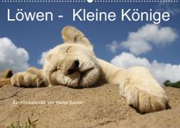 Löwen - Kleine Könige (Wandkalender 2023 DIN A2 quer)