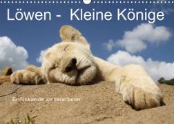 Löwen - Kleine Könige (Wandkalender 2023 DIN A3 quer)