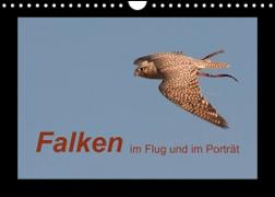 Falken im Flug und im Porträt (Wandkalender 2023 DIN A4 quer)