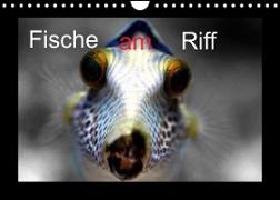 Fische am Riff (Wandkalender 2023 DIN A4 quer)