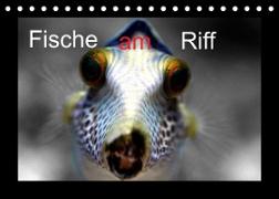 Fische am Riff (Tischkalender 2023 DIN A5 quer)