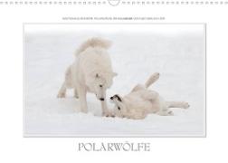 Emotionale Momente: Polarwölfe. / CH-Version (Wandkalender 2023 DIN A3 quer)