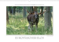 Emotionale Momente: Europäischer Elch. / CH-Version (Wandkalender 2023 DIN A3 quer)
