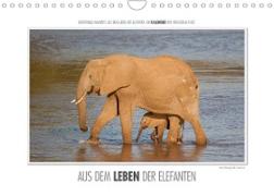 Emotionale Momente: Aus dem Leben der Elefanten. / CH-Version (Wandkalender 2023 DIN A4 quer)