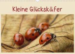 Kleine Glückskäfer (Wandkalender 2023 DIN A3 quer)