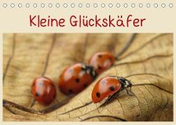 Kleine Glückskäfer (Tischkalender 2023 DIN A5 quer)