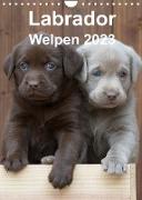 Labrador Welpen (Wandkalender 2023 DIN A4 hoch)