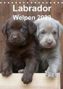 Labrador Welpen (Tischkalender 2023 DIN A5 hoch)