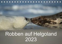 Robben auf Helgoland 2023CH-Version (Tischkalender 2023 DIN A5 quer)