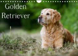 Golden Retriever (Wandkalender 2023 DIN A4 quer)