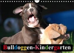 Bulldoggen-Kindergarten (Wandkalender 2023 DIN A4 quer)