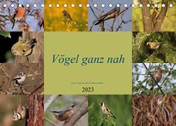 Vögel ganz nah (Tischkalender 2023 DIN A5 quer)